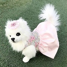 Hands & Dogs Liberty Dog 韓服 + 女孩胸針套組, 粉色的