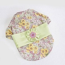 Hands & Dogs Liberty Dog 韓服 + 男孩胸針套組, 綠色