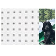 코카스파니엘 인테리어 타공판 60x90cm 우WHITE, 1개, 혼합색상