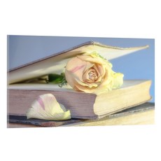 UVDS 廚房藝術板 愛的故事, 1個