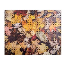 Anbikumoseu秋天落葉A, 1個