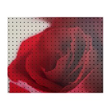 앤비커머스 REDRS, 1개