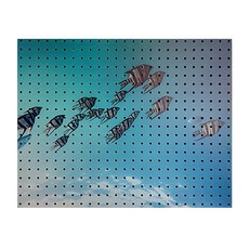 Anbicommus深藍色C, 1個