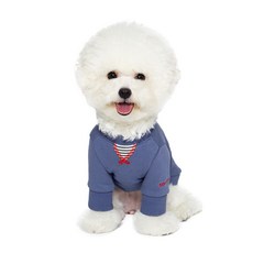 BENNYS 寵物 I LIKE T恤, 炸雞藍