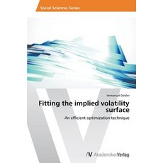Fitting the Implied Volatility Surface Paperback, AV Akademikerverlag