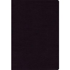 NIV Thinline Bible Bonded Leather Black Red Letter Edition Bonded Leather, Zondervan