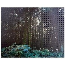 Anbicomer室內裝飾打孔板 竹林 灰色, 1個