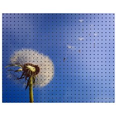 앤비커머스 室內裝潢洞洞板 蒲公英種子 灰色, 1個