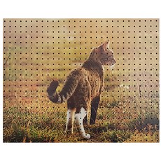 草地小貓咪裝飾洞洞板 600x500mm, 1個