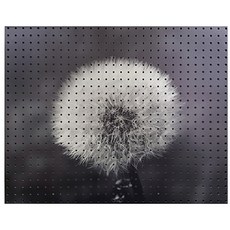 들레야 인테리어 타공판 600x500mm, 1개, Gray