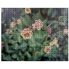 옹기종기A 인테리어 타공판 Gray 600 x 500 mm, 1개, 혼합색상