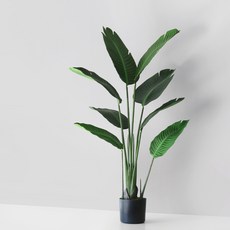 블루밍앤미 극락조 인테리어 나무 120cm, 혼합 색상, 1개