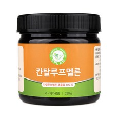 브이플랜 칸탈로프멜론 추출물 분말, 250g, 1개