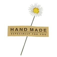 DONNA&DECO 迷你雛菊裝飾品 36入+方形手工貼紙 36入, 白色的, 1套