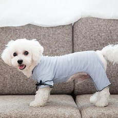 슈퍼식스 반려동물 사랑스러운 블랙라인리본 스트라이프 코튼 올인원, 블루, 1개