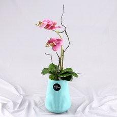 행복한세상 사랑만천홍 화분, 블루(딥핑크), 1개