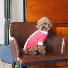 Dasom 寵物撞色領針織T恤, 粉紅色, 1個