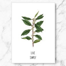 RYMD Live simple green 樹脂相框, 白色