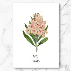 RYMD Give thanks 樹脂畫框, 白色