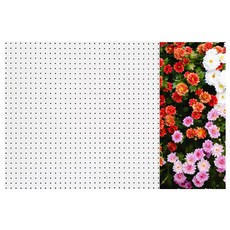 앤비커머스 인테리어 타공판 레드스프링 우 WHITE, 1개