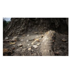 UVDS 아트보드 흙과 나무, 1개