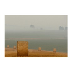 UVDS 주방 아트보드 안개낀 농지, 1개