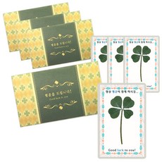 幸運符號 幸運四葉草 真花 護貝卡 幸運捕夢網, 混合顏色, 4入