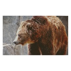 유브이디에스 아트보드 주방시트지 갈색 곰, 1개