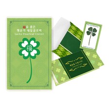 Lucky Symbol 幸運四葉草真花高級卡片組, 懷抱福氣的幸運四葉草, 2套