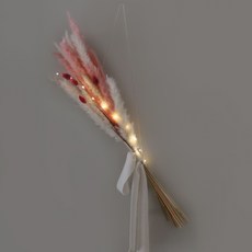 BLOOMING&ME 乾燥花+可拆式迷你燈串 10燈, 混色