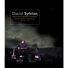 DAVID SYLVIAN - WHEN POETS DREAMED OF ANGELS 데이비드 실비앙 : 도쿄 라이브 2004 쥬얼케이스 유럽수입반, 1CD