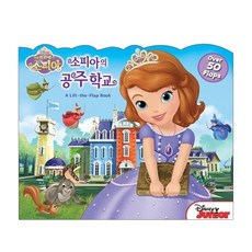 플레이퓨처북 소피아의 공주학교, 혼합 색상