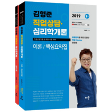 김형준 직업상담 심리학개론:2019 9급 직업상담직렬 공무원 시험 대비, 배움