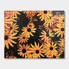 Anbicome室內打孔板 向日葵花田2, 1個, 白色的