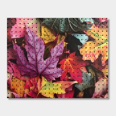 Envy Commerce 室內裝飾洞洞板 色彩繽紛楓葉, 1個, White