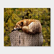 NB Commerce 室內裝飾洞洞板 沉睡狐狸, 1個, 白色