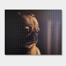 NB Commerce 室內洞洞板 dog, 1個, 白色