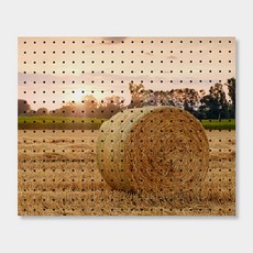 AnB Commerce 圓角室內裝飾洞洞板, 1個, 白色