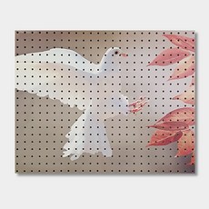 Anbicommus室內打孔板 dove, 1個, 白色的