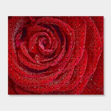 앤비커머스 室內裝潢洞洞板 rose, 1個, 白色