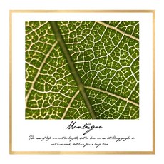 北歐風帆布畫框 BOT0021 CA 正方形, 金屬橄欖金