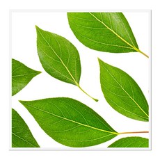 북유럽 캔버스액자 BOT0046 CA 정사각형, 메탈화이트