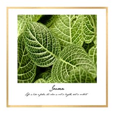 北歐帆布畫 BOT0015 CA 正方形, 金屬橄欖金