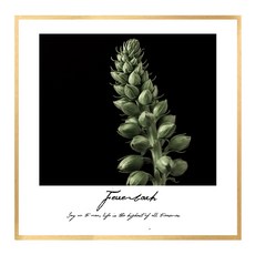 北歐帆布畫框 BOT0022 CA 正方形, 金屬橄欖金