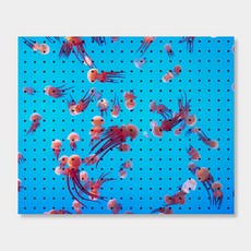 NB Commerce 室內裝飾洞洞板 巴黎巴黎水母 White 500 x 400 mm, 1個, 混合顏色