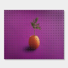 앤비커머스 室內裝飾洞洞板 上市, 1個, 白色