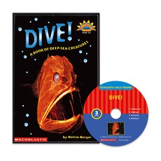 Dive!, 투판즈