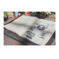 UVDS 주방아트보드 식물도감, 1개