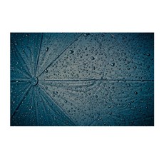 UVDS 주방아트보드 비맞은 우산, 1개