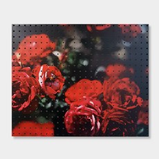 Anb Commerce 室內裝飾洞洞板 玫瑰bee, 1個, 白色